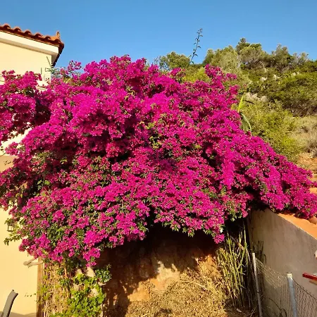 Villa Calli *